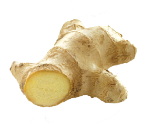 Ginger PNG-16800